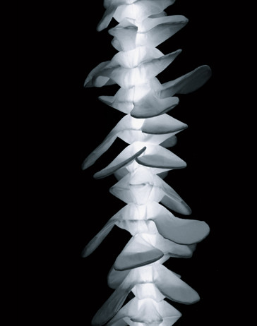 Coral lamp design by KanguLUM