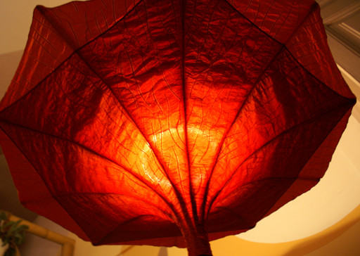 Lap Lua lamp design by KanguLUM